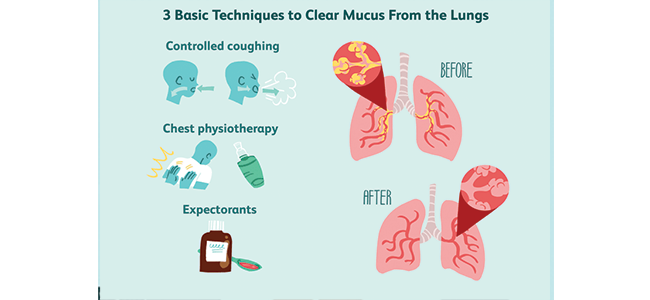 allergy specialist in lucknow,allergy specialist in up,asthma doctor in lucknow,asthma doctor in up,asthma specialist in lucknow